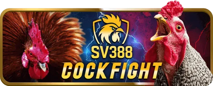 Hoàn trả hàng ngày tại 12bey
